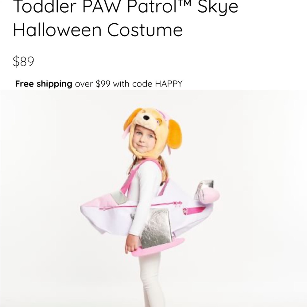 Skye paw patrol Halloween costume pottery barn